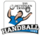 (c) Tsvdettingen-handball.de